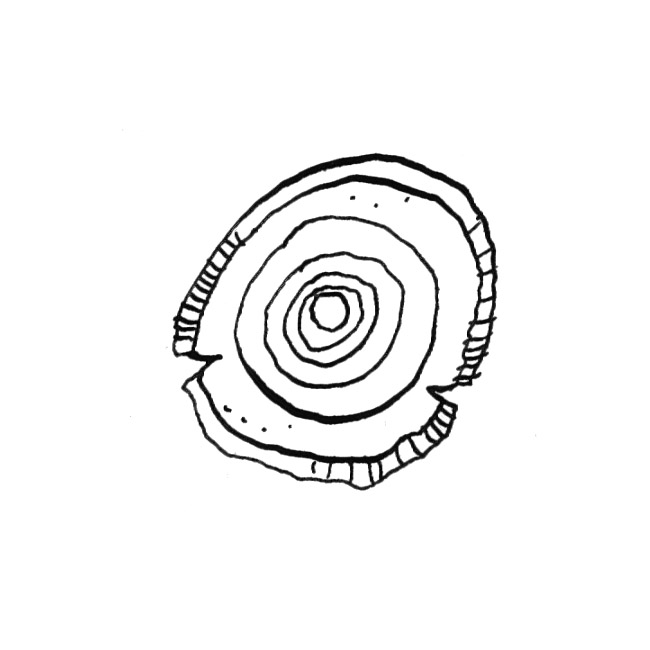 60