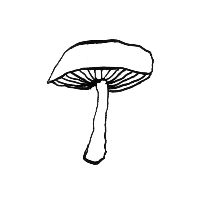 61